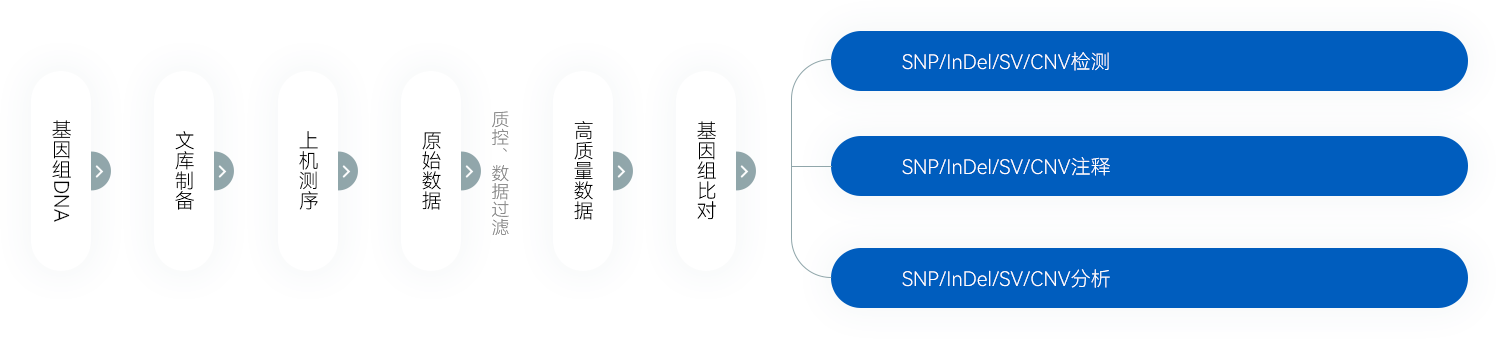 genome04_img01