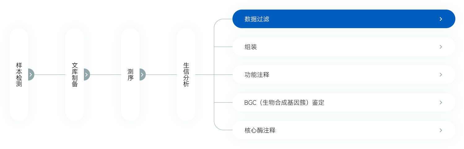 genome04_img03