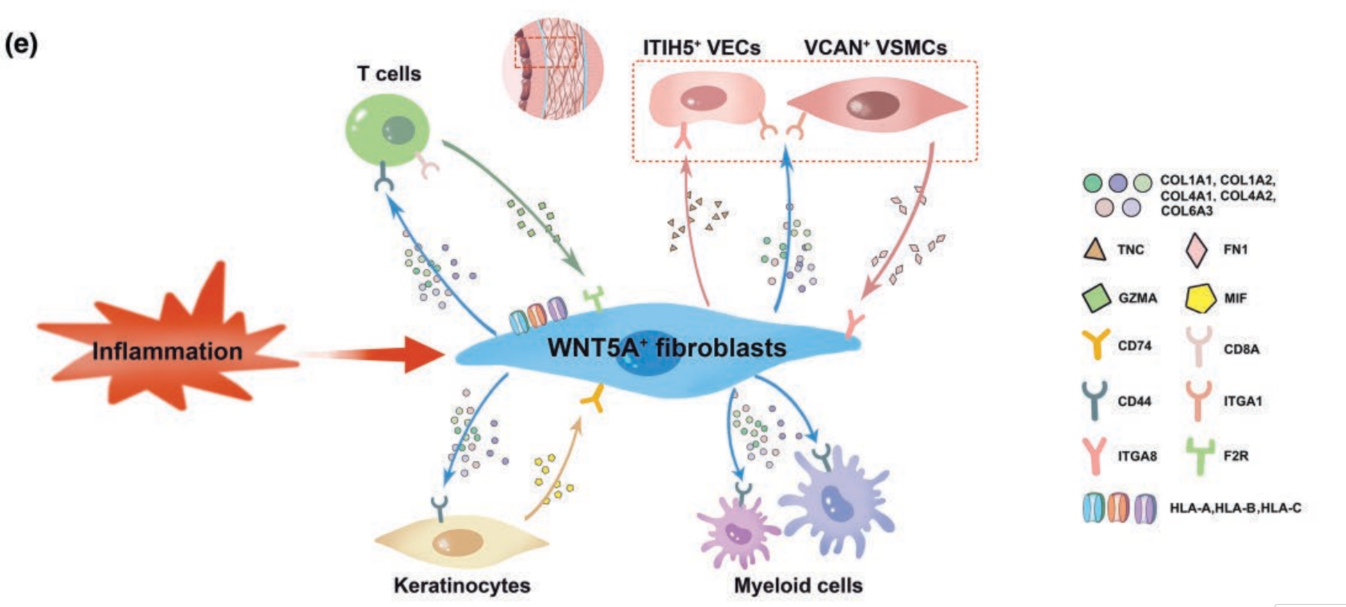 空转银屑病-结果