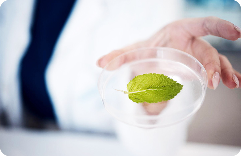 中高密度<span>基因分型</span>– 基于液相芯片的GBTS基因分型系统