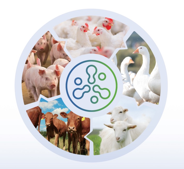 赋能畜牧业研究