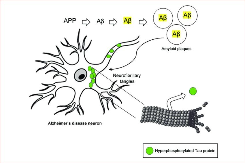 解析非癌疾病机制