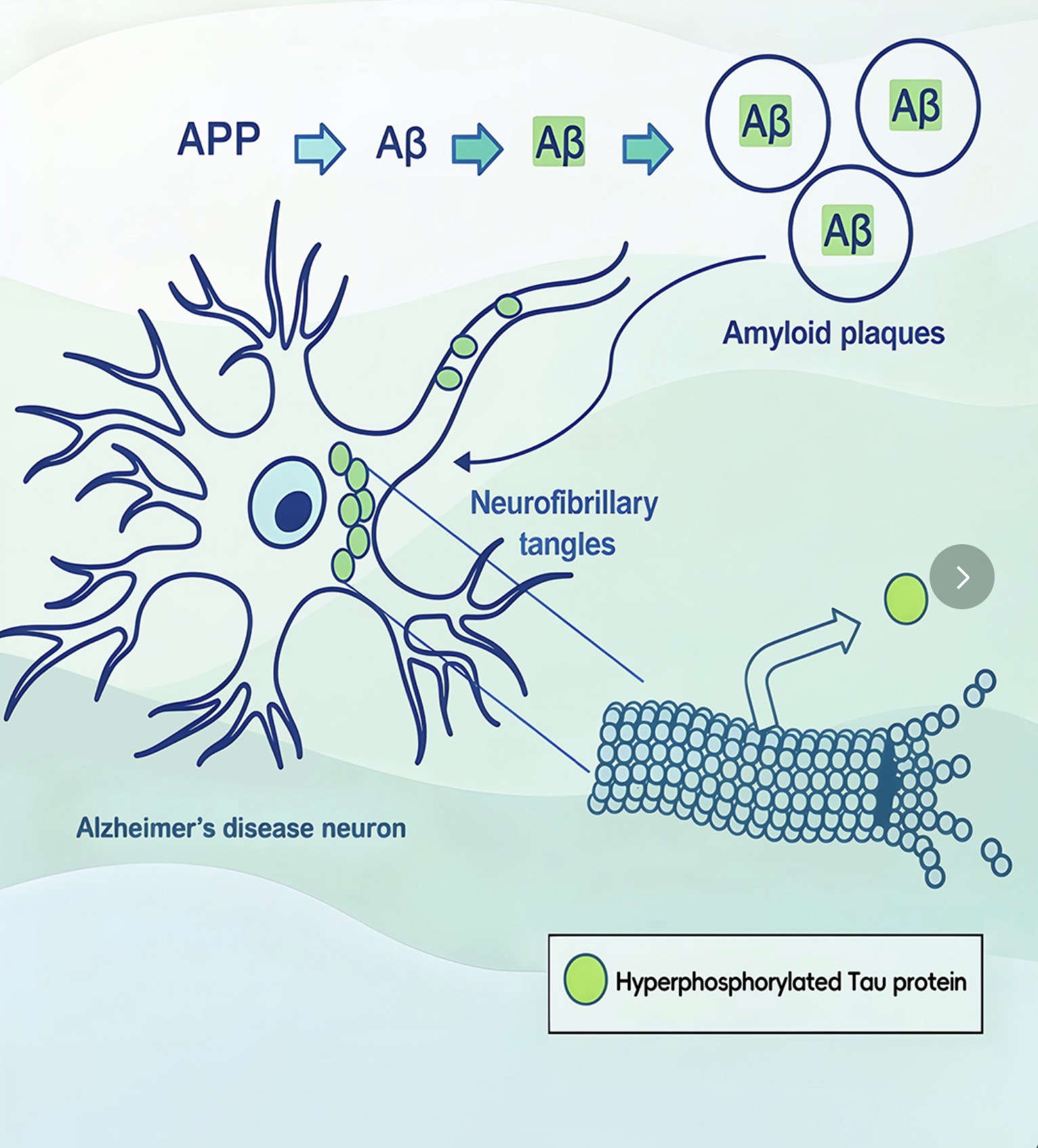 解析非癌疾病机制