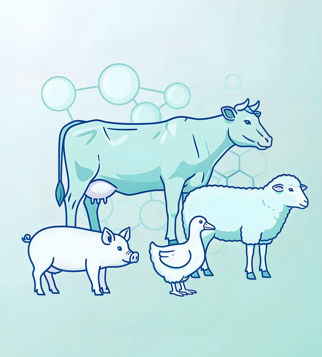 赋能畜牧业研究