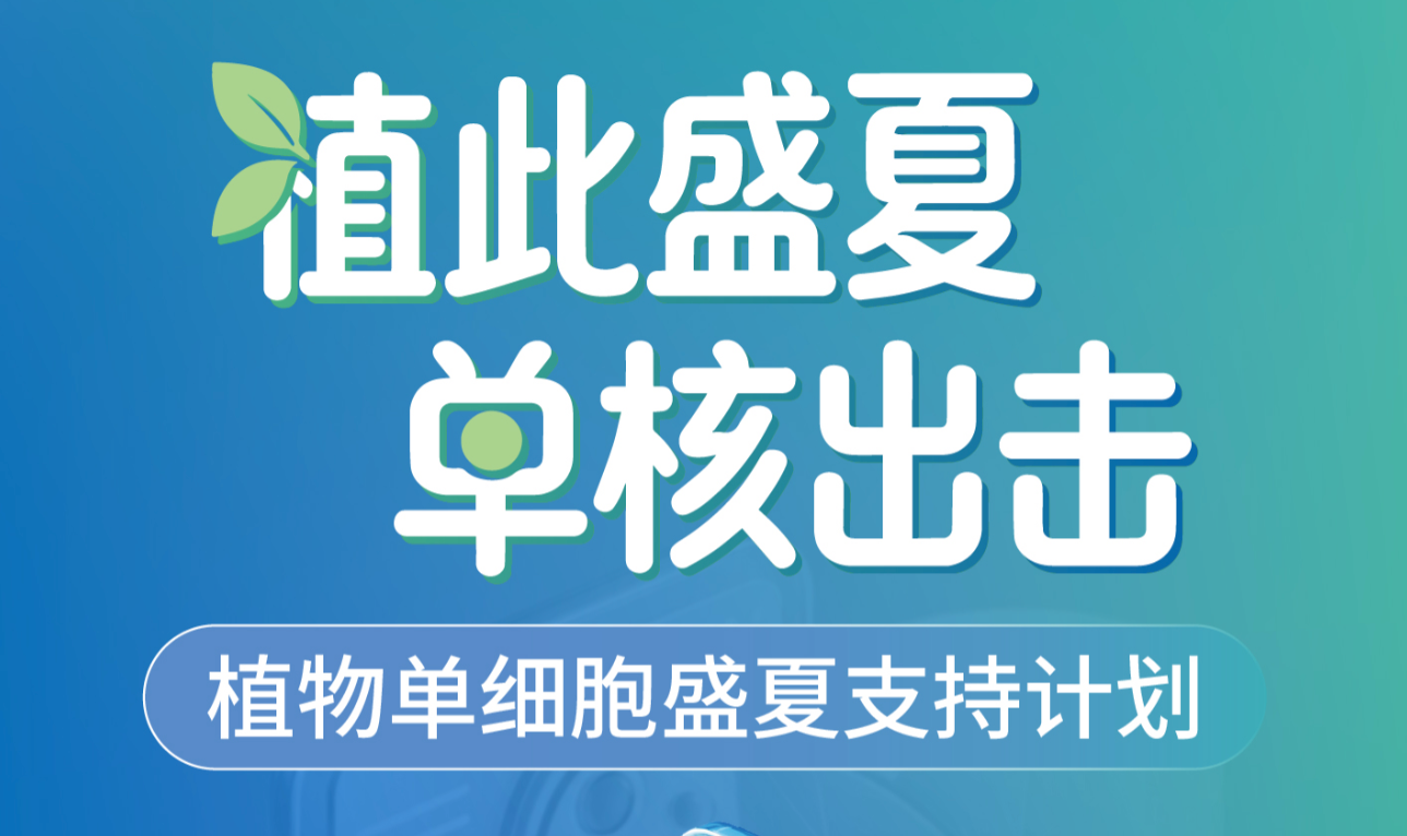 “植”此盛夏，单“核”出击