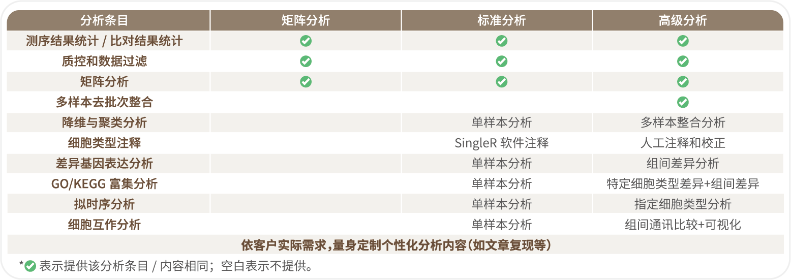 C4 分析内容