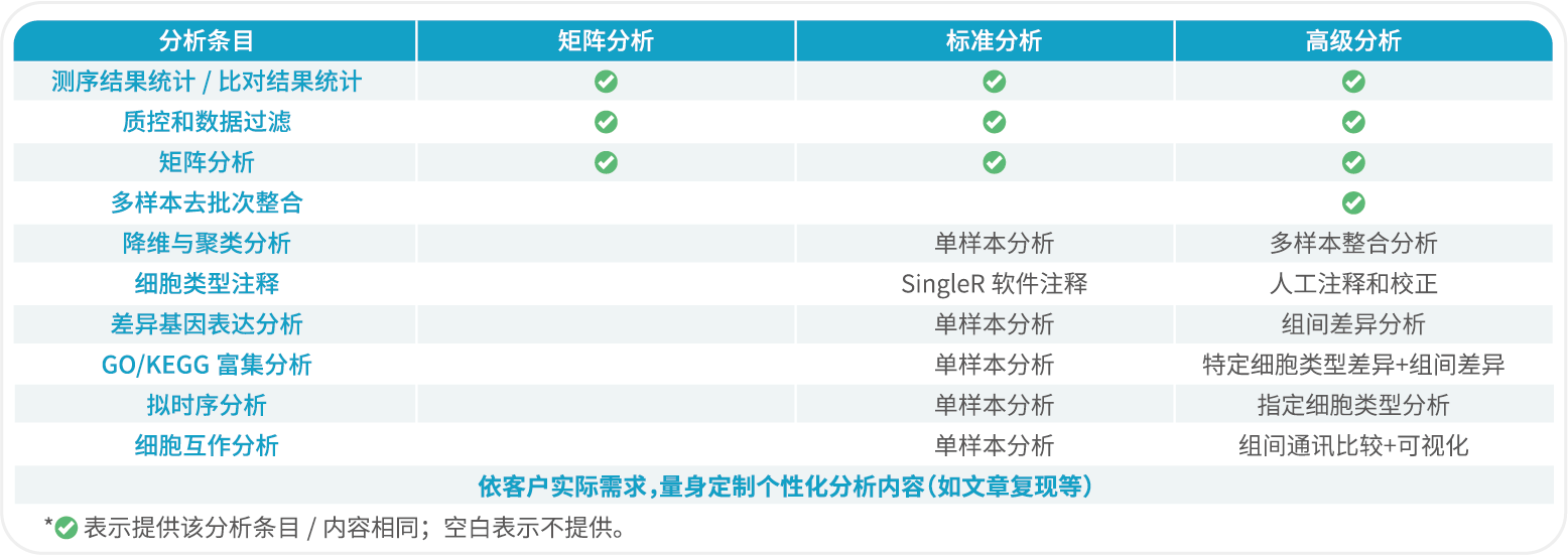 1788855039636 10× 分析内容